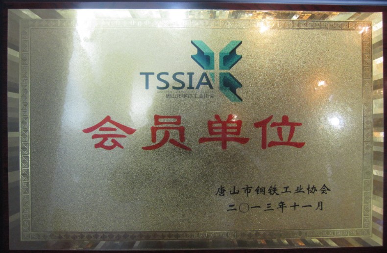 Tangshan Iron & Steel Association member unit